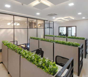 Indoor Plants: The Secret to a Fresh & Stylish Home